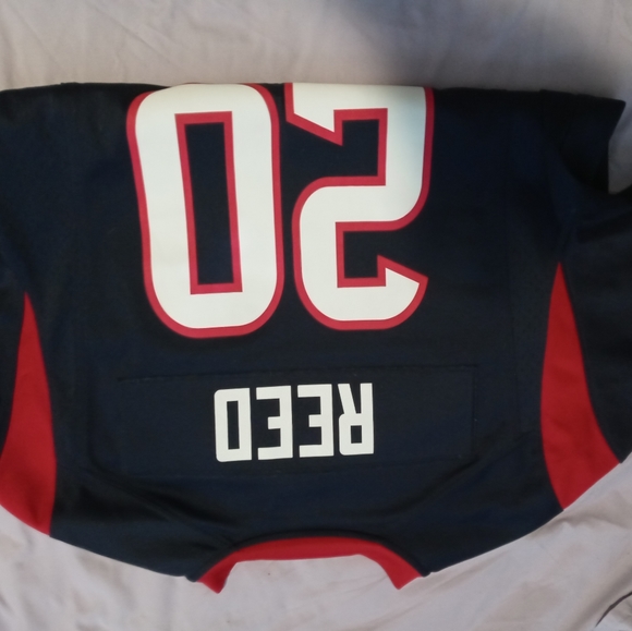 Ed Reed Houston Texans - Picture 3 of 3